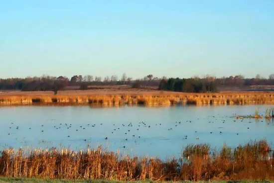 Ninepipe National Wildlife Refuge