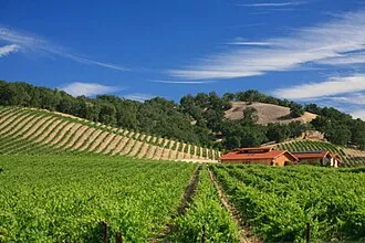 Niner Wine Estates