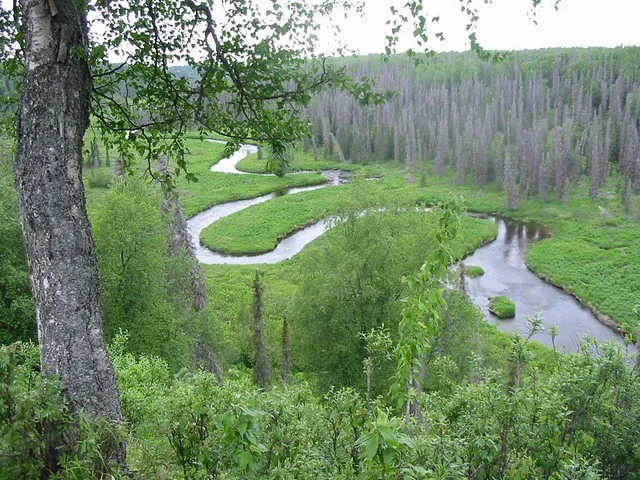 Ninilchik River