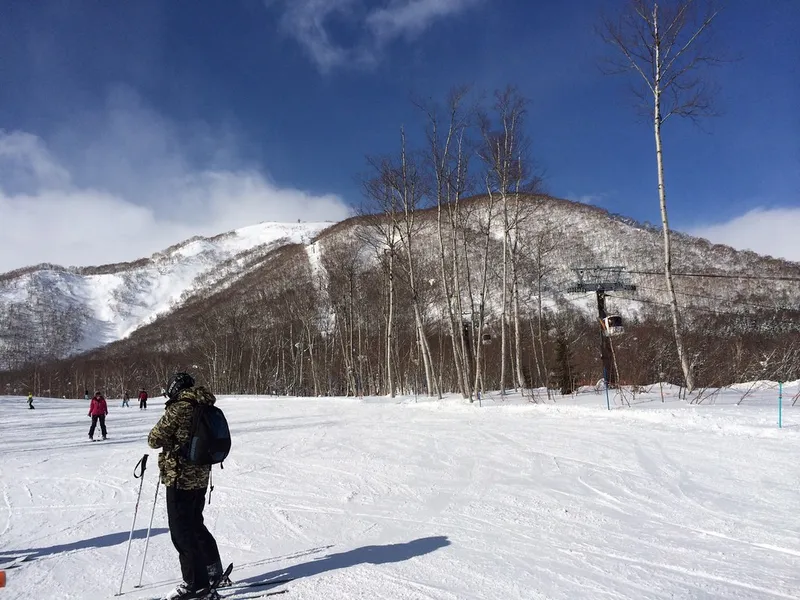 Niseko Snowshoe Adventure