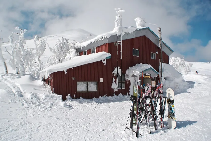 Niseko Weiss Powder CATS