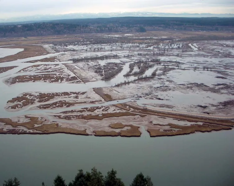 Nisqually National Wildlife Refuge