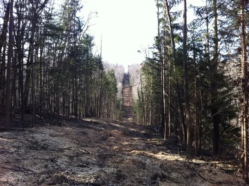 Nolde Forest Environmental Education Center