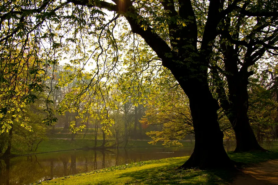 Noorderplantsoen Park