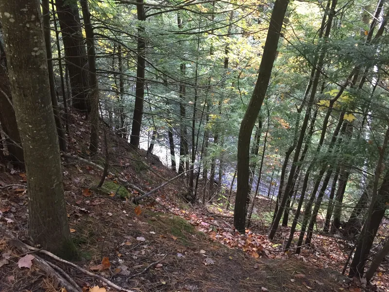 Noquemanon Trail Network (NTN)