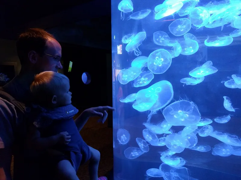 North Carolina Aquarium at Fort Fisher