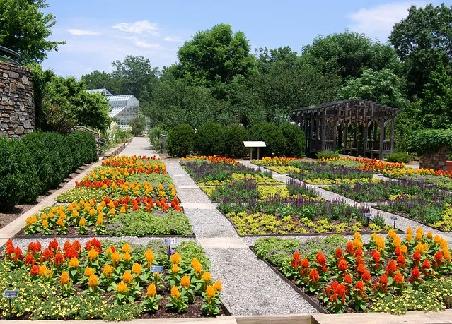 North Carolina Arboretum