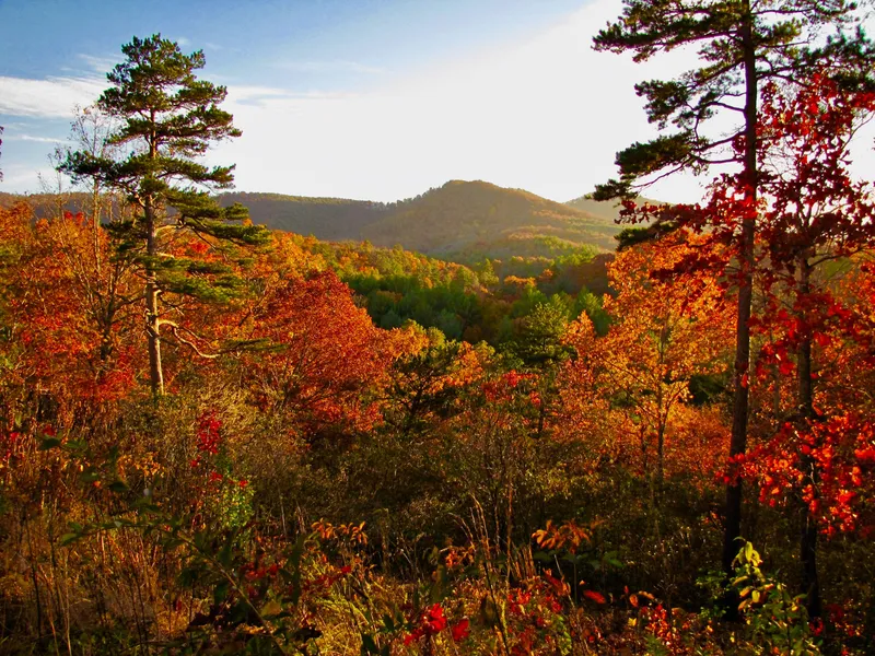 North Carolina Arboretum