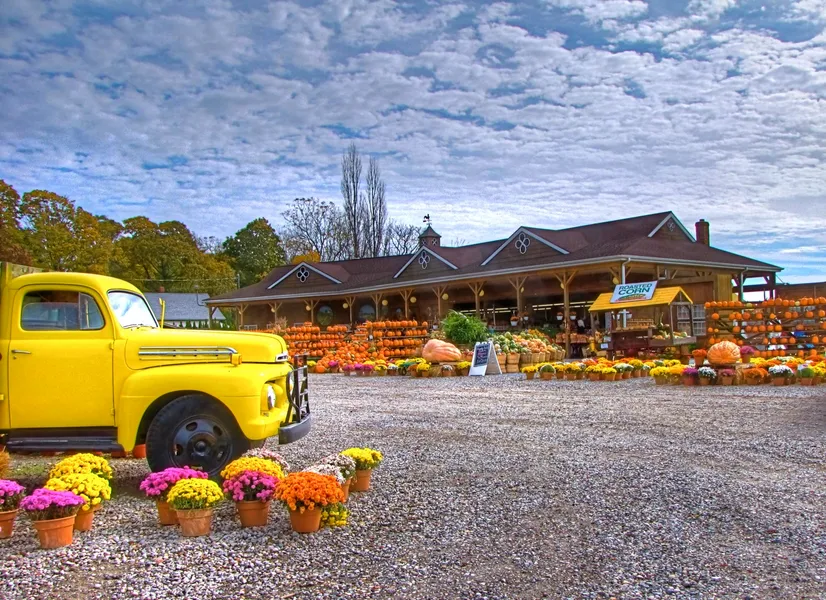 North Fork Valley Wineries (General Area)