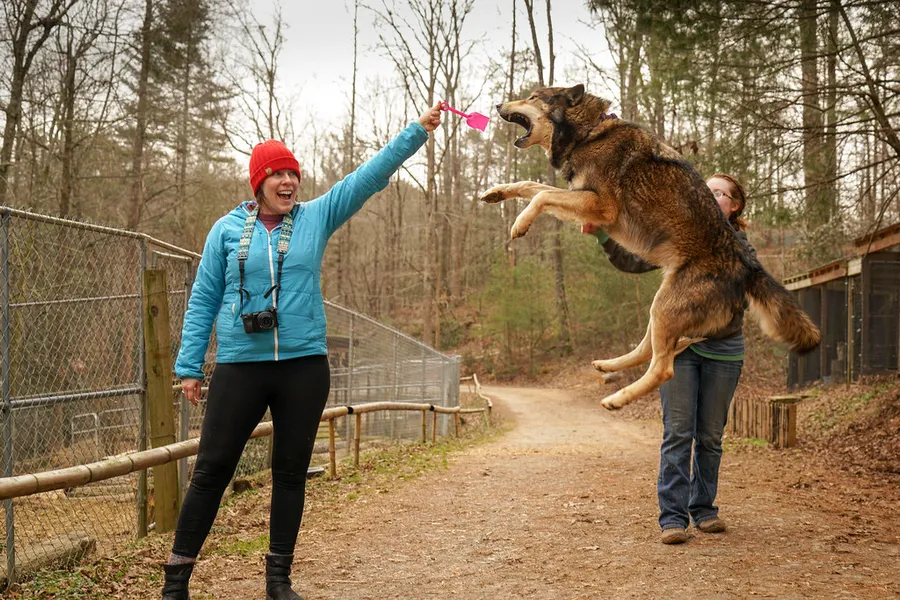 North Georgia Zoo