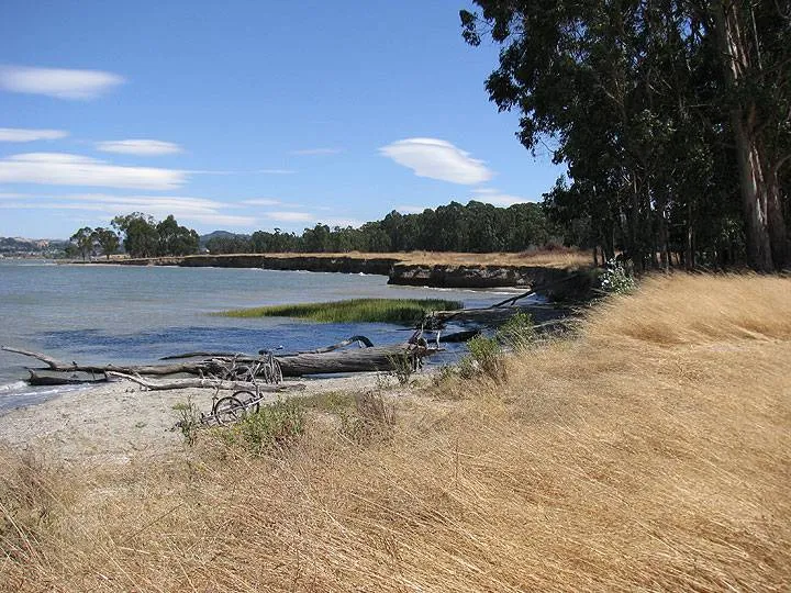 North Shore Park