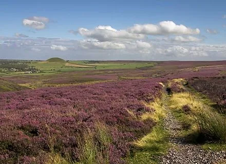 North York Moors National Park