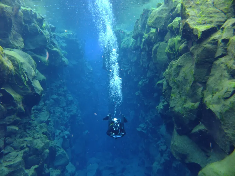 Northern Coast Diving