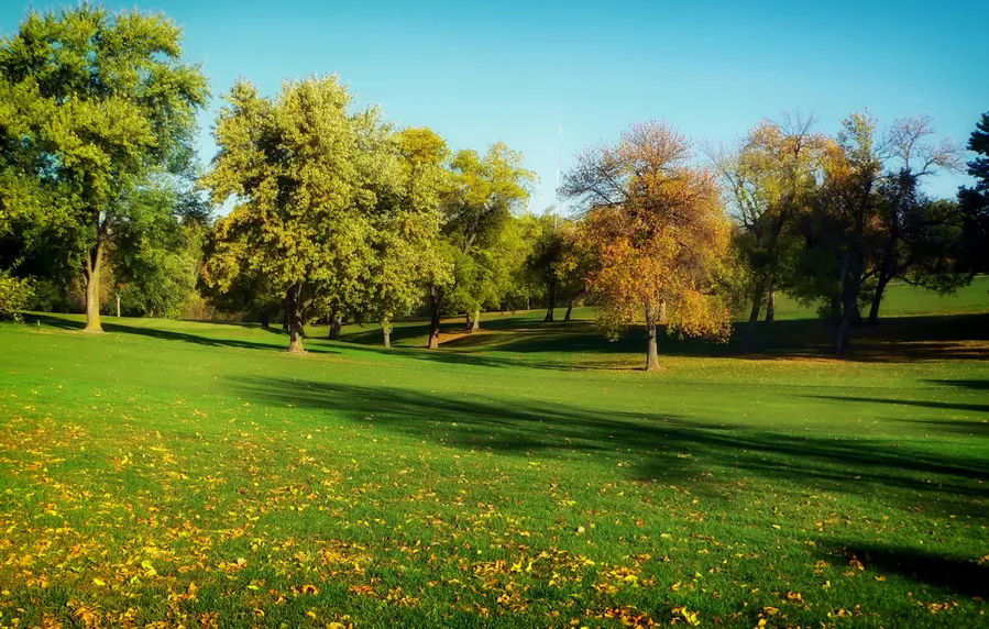 Northwest Park and Open Space