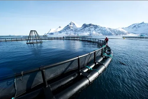 Norwegian Wild Salmon Centre