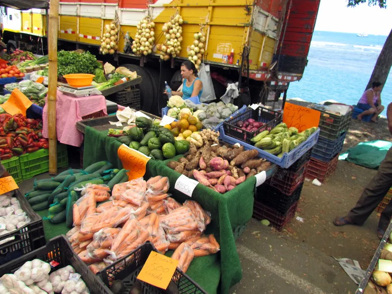 Nosara Farmers Market