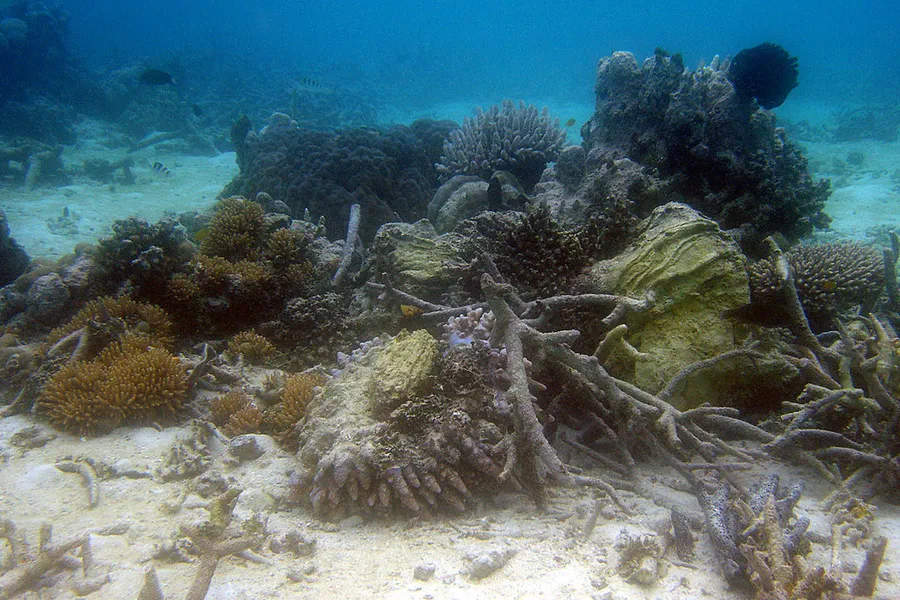 Nusa Tupe Island