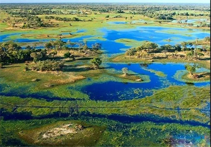 Nxabega Okavango Tented Camp