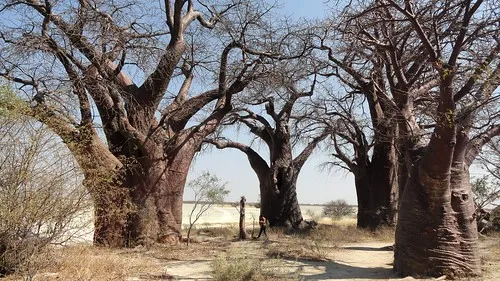 Nxai Pan National Park