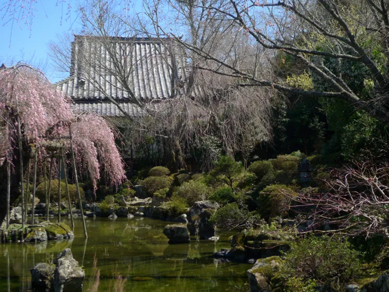 Nyoirin-ji Temple (Yoshino Mikadera)