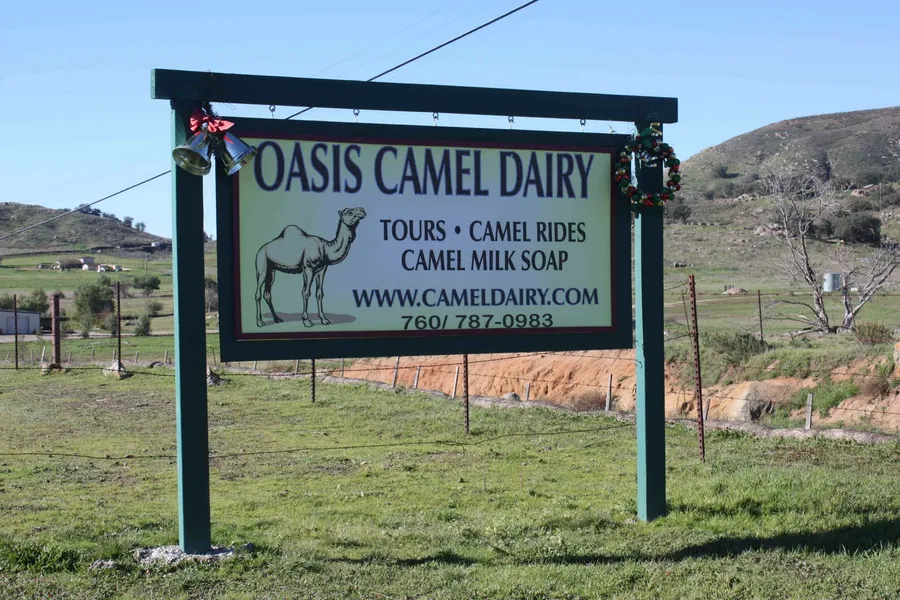 Oasis Camel Dairy