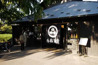 Obusedo