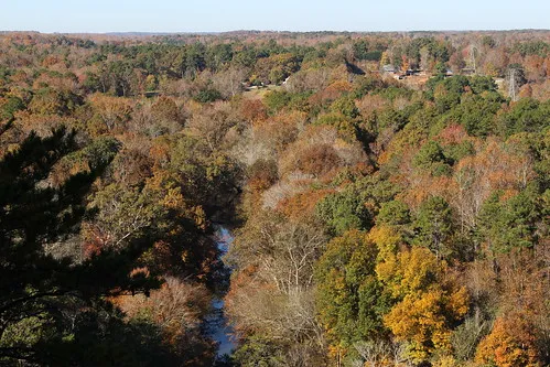Occoneechee Mountain State Natural Area