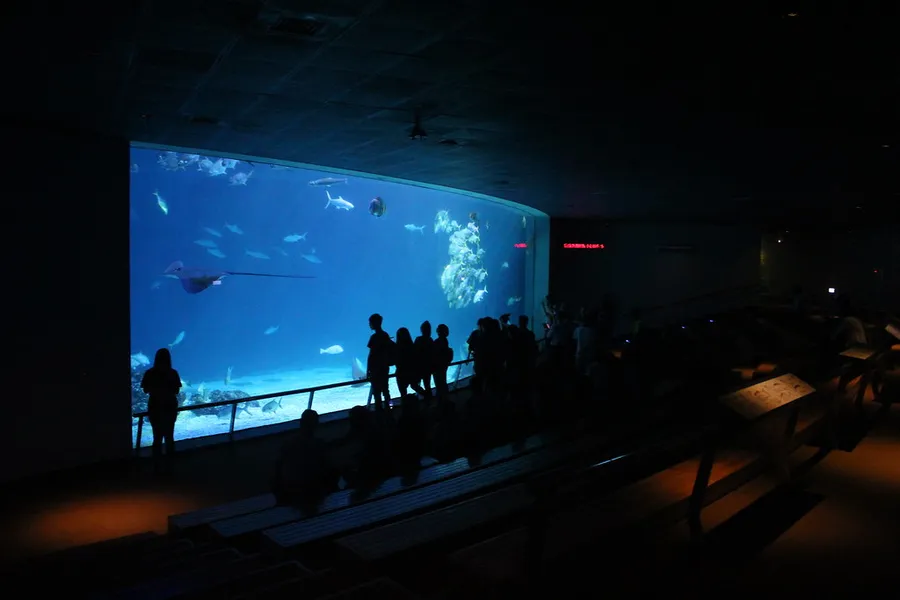 Ocean Aquarium