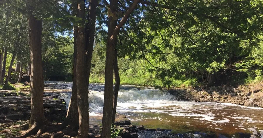 Ocqueoc Falls State Forest Campground