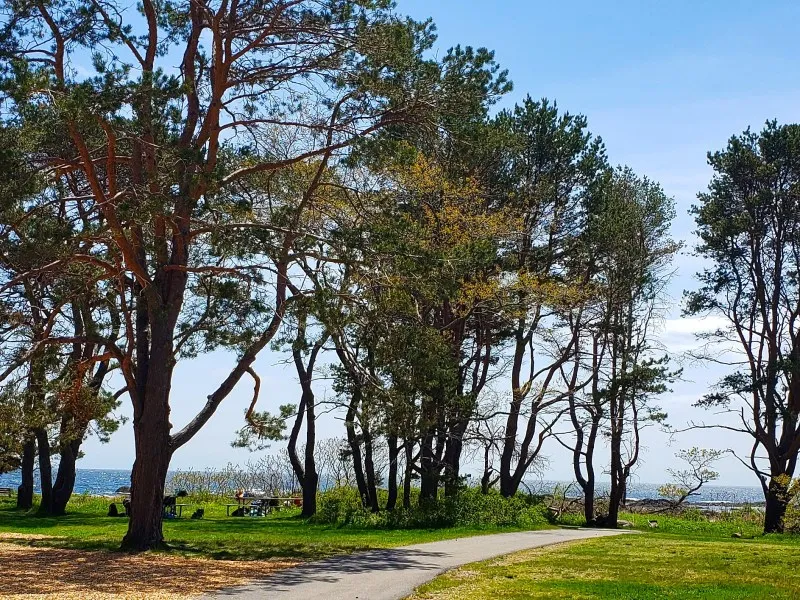 Odiorne Point State Park