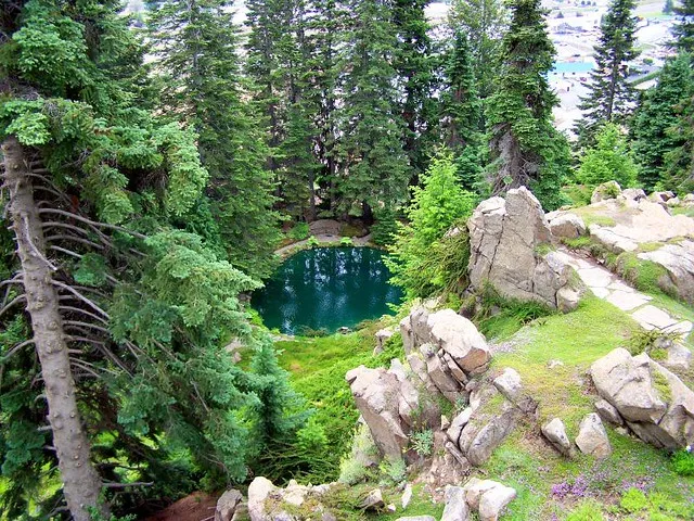 Ohme Gardens