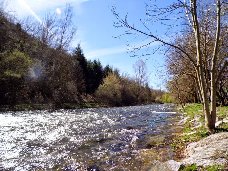 Oja River