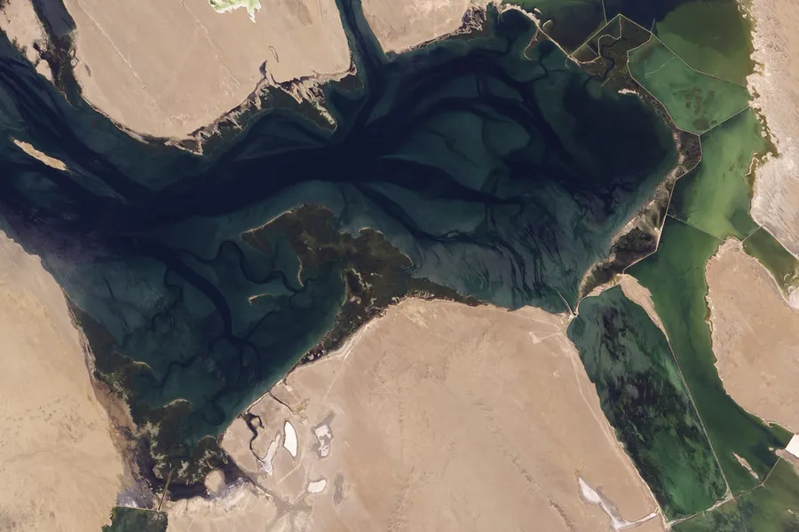 Ojo de Liebre Lagoon (Laguna Ojo de Liebre)