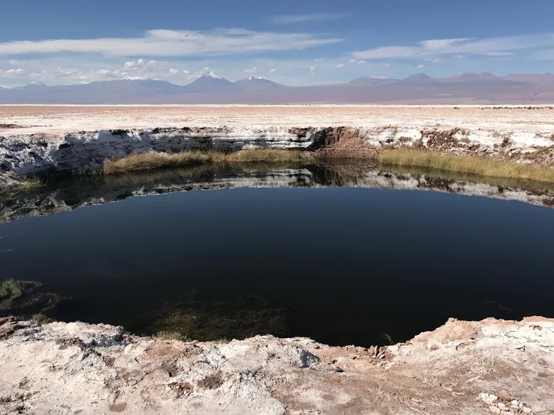 Ojos del Salar