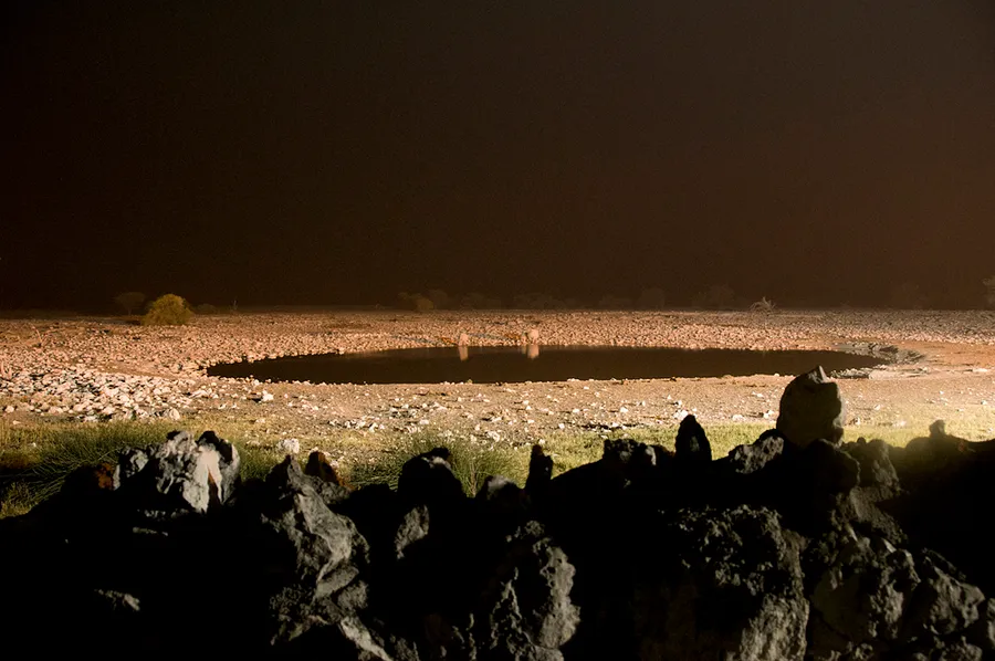 Okaukuejo Waterhole