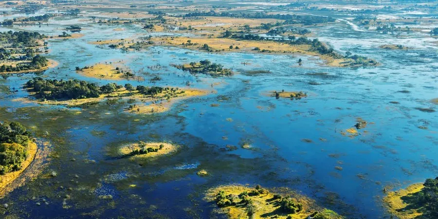 Okavango Delta Panhandle