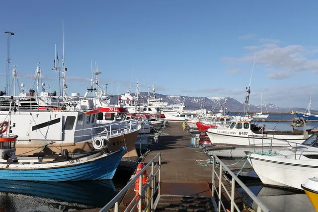 Old Harbor