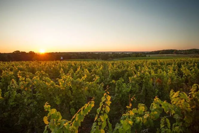 Old Mission Peninsula Wine Trail