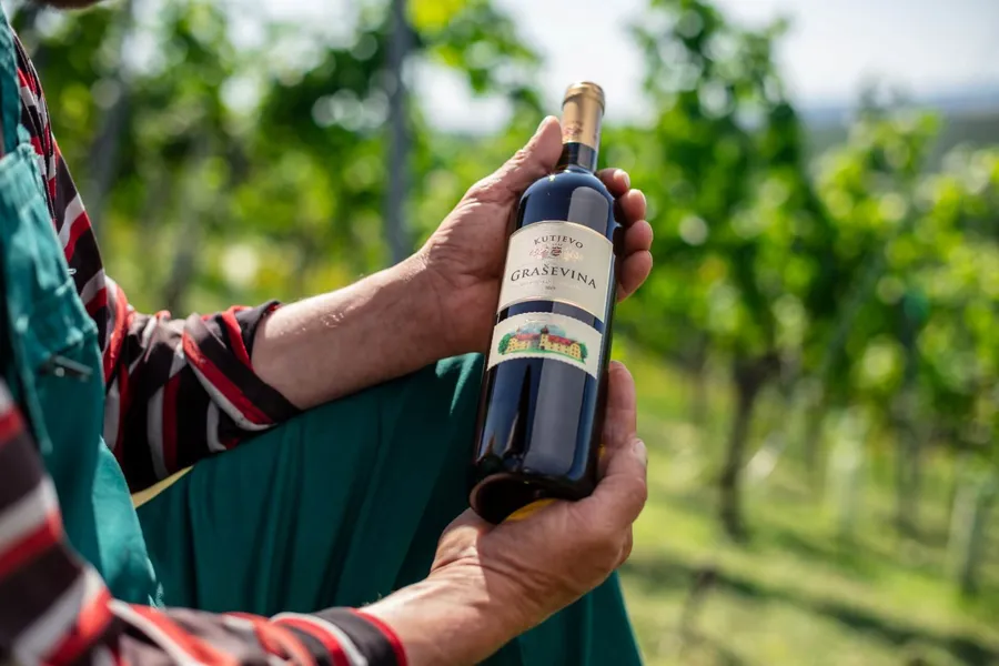 Old Wine Route