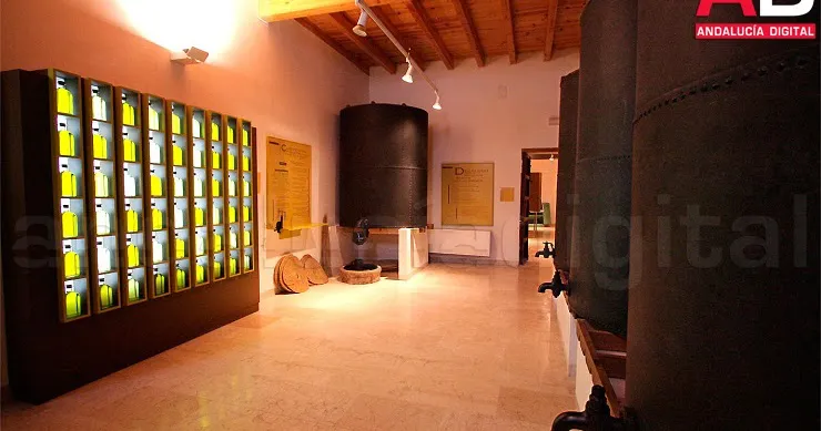 Olive Oil Museum