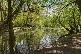 Oliwa Park