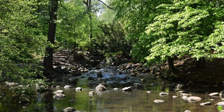 Oliwa Park