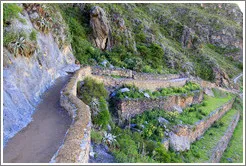 Ollantaytambo Fortress
