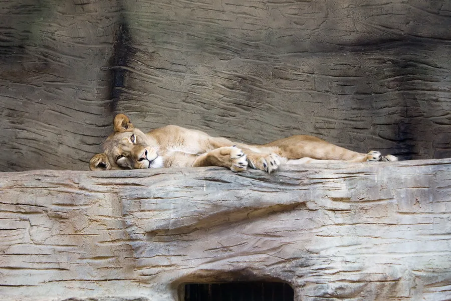 Olomouc Zoo
