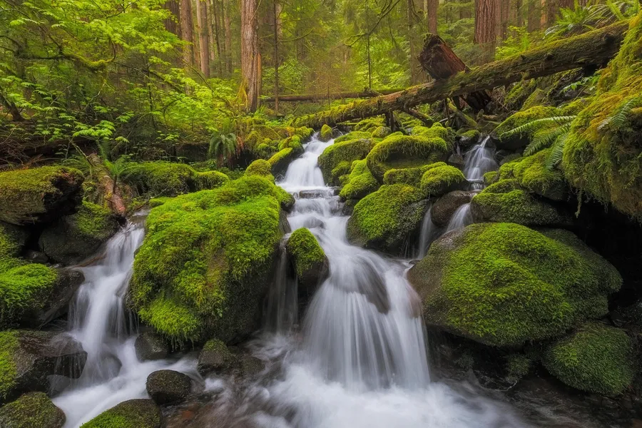 Olympic National Park