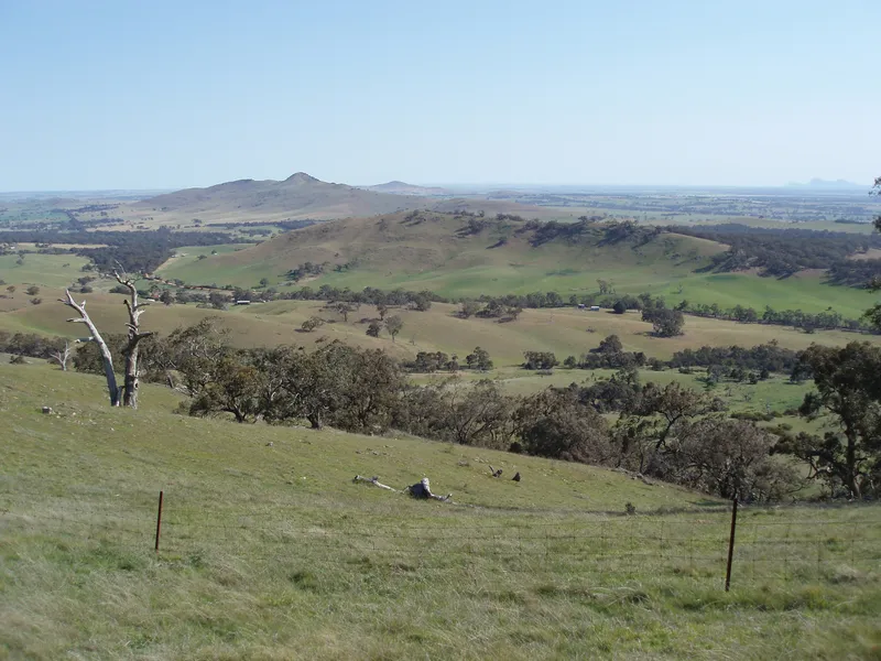 One Tree Hill Lookout