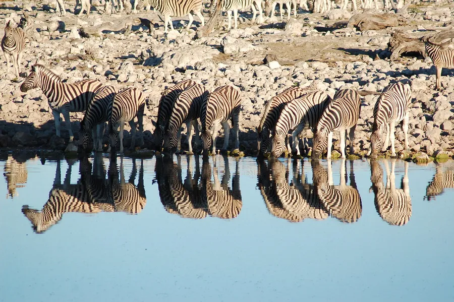 Ongava Game Reserve