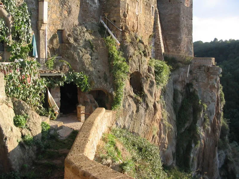 Opera Bosco, Museo di Arte nella Natura