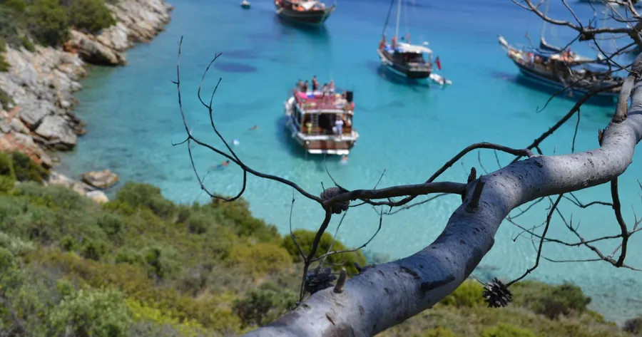 Orak Island