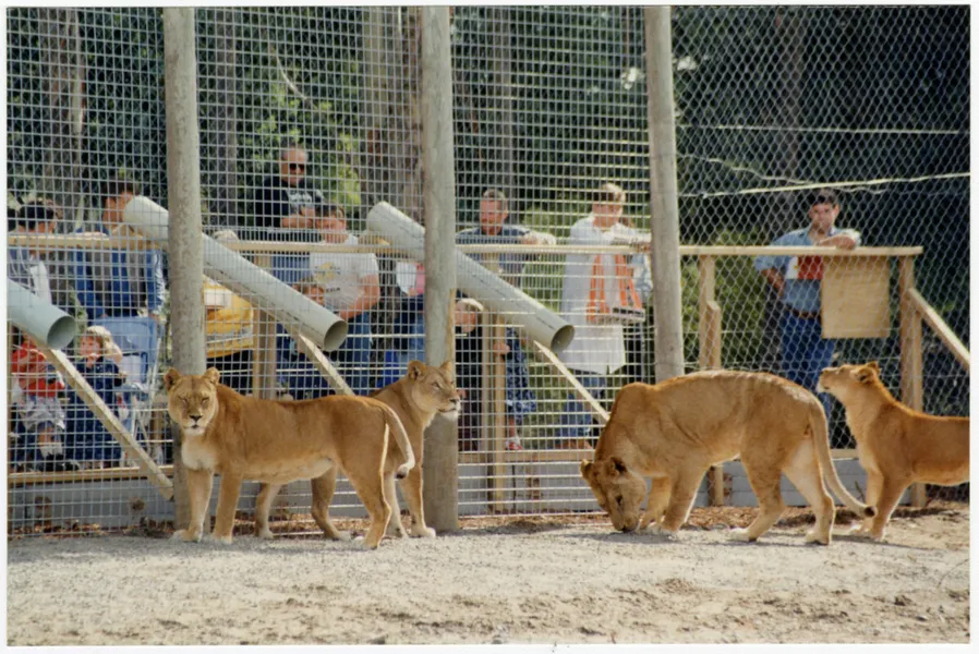 Orana Wildlife Park